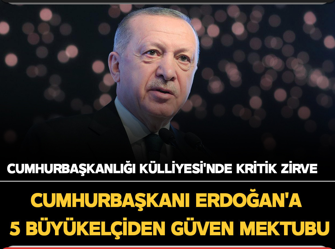 Cumhurbaşkanı Erdoğan'a 5 büyükelçiden güven mektubu