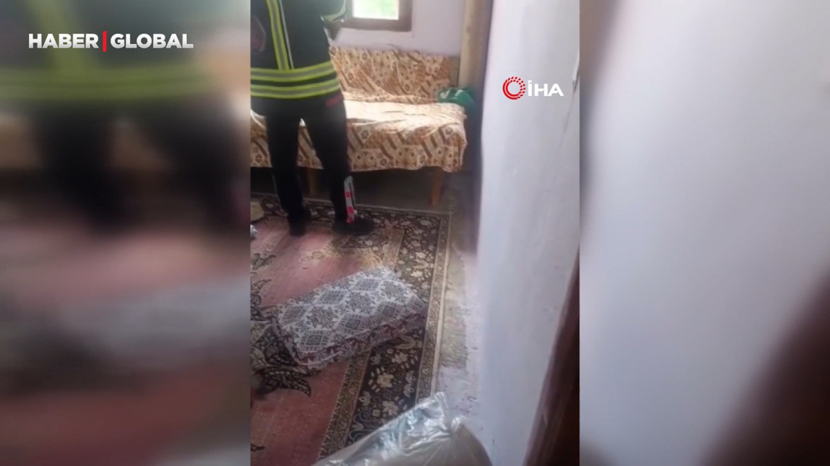 Yatak ve halıların arasına saklanan yılanın boyu şaşırttı