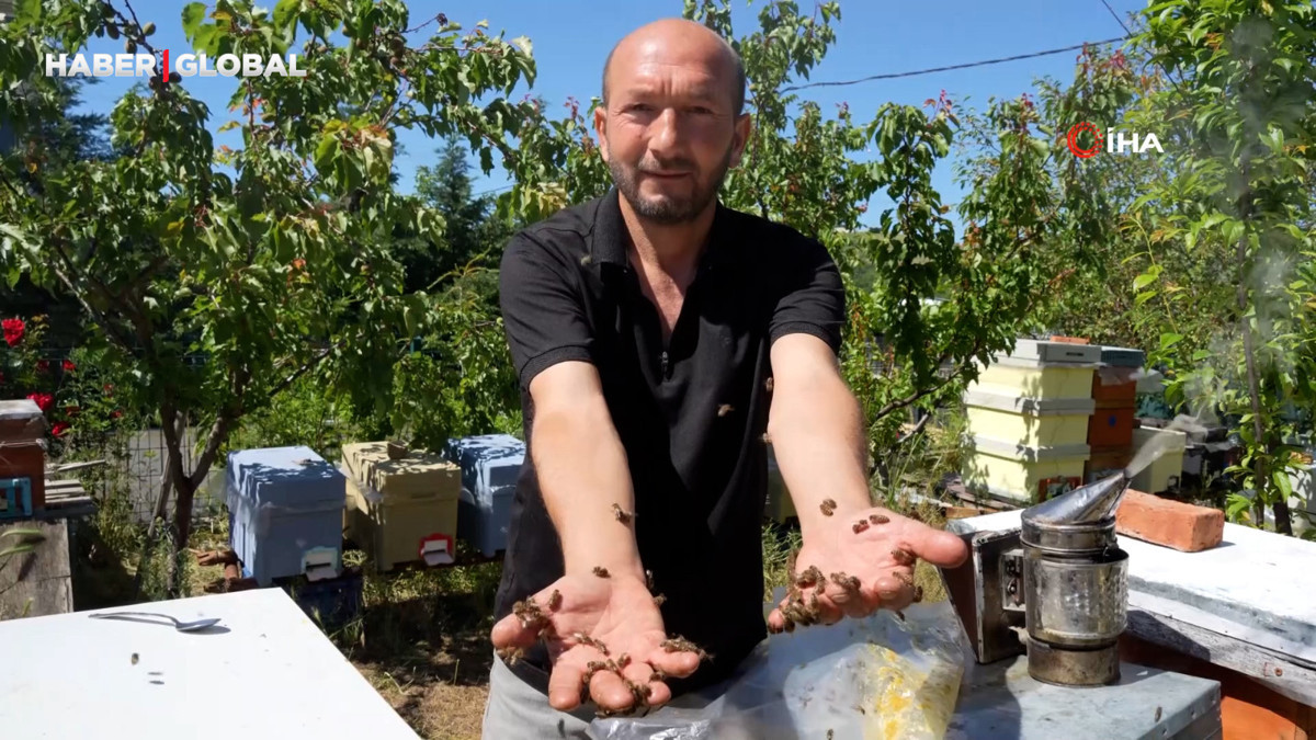 Korkmadan temas edebildiği arılarla 5 senedir birlikte yaşıyor