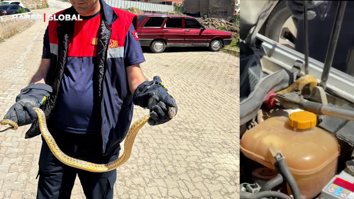 Yozgat’ta otomobile giren yılanı görünce şoke oldu