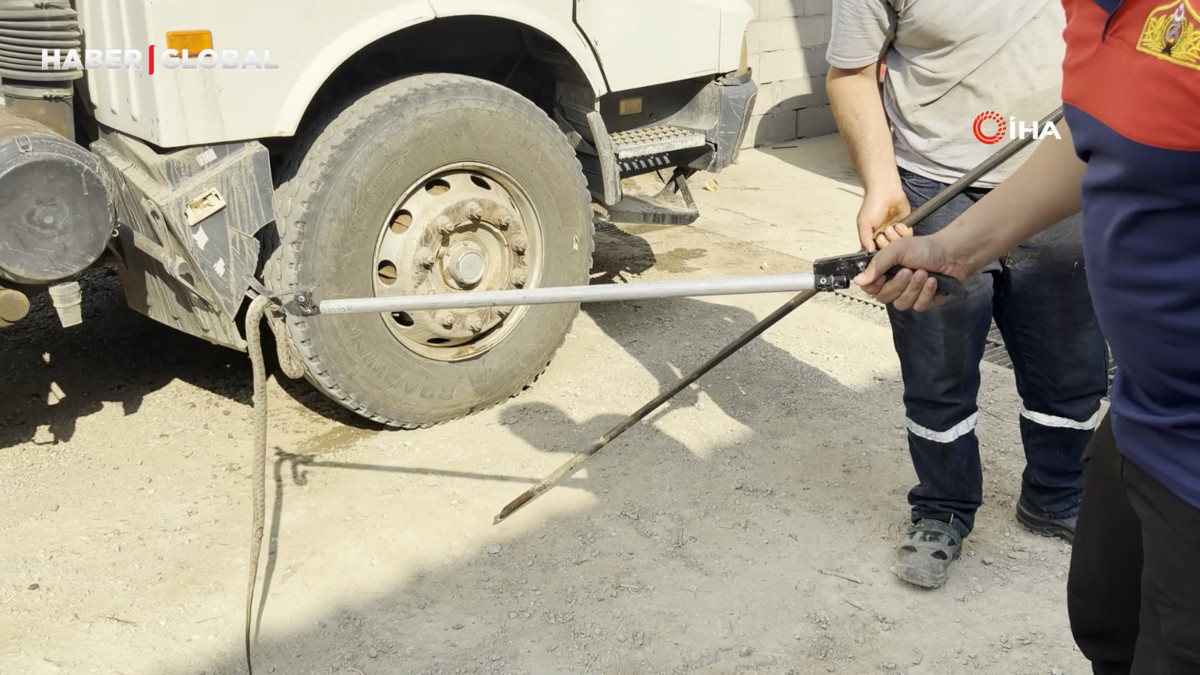Yılan, üç farklı aracı dolaştıktan sonra böyle yakalandı