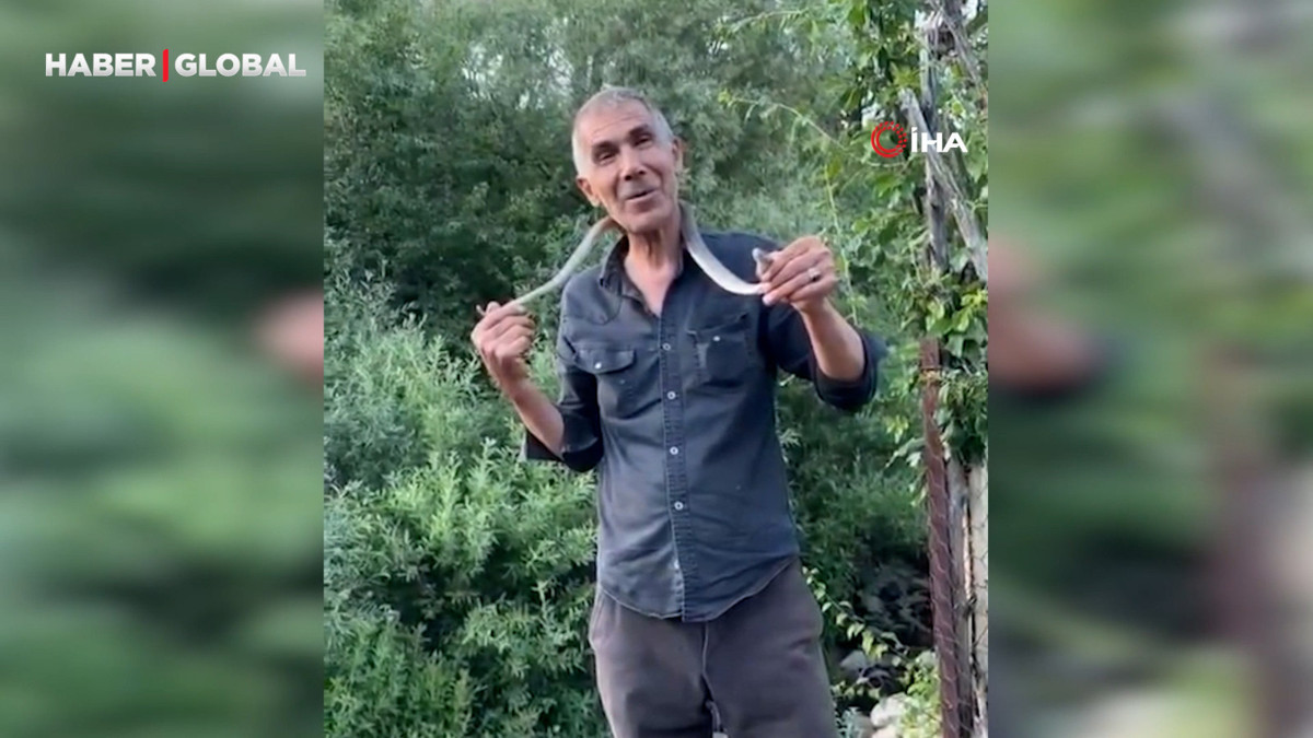 Zehirli engerek yılanını yakalayıp boynuna doladı: "Benim yaptığımı yapmayın"