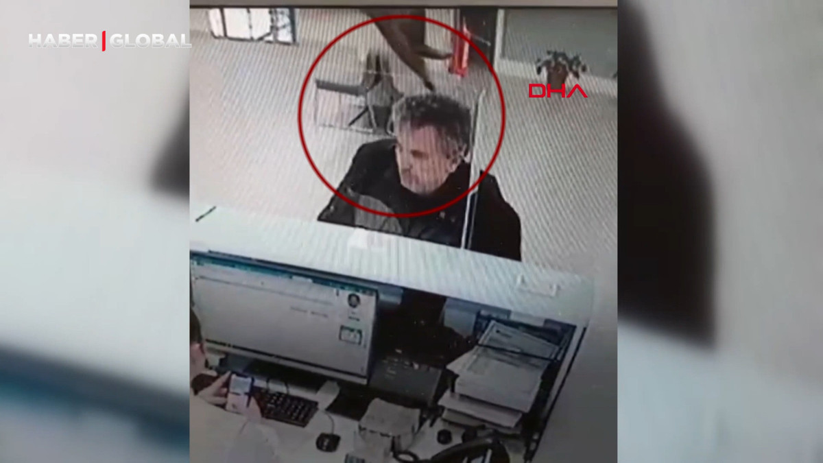 Bankada işlem yaparken üstüne kedi düştü, "Kalpten gidiyorduk, sonra kahkaha attık"