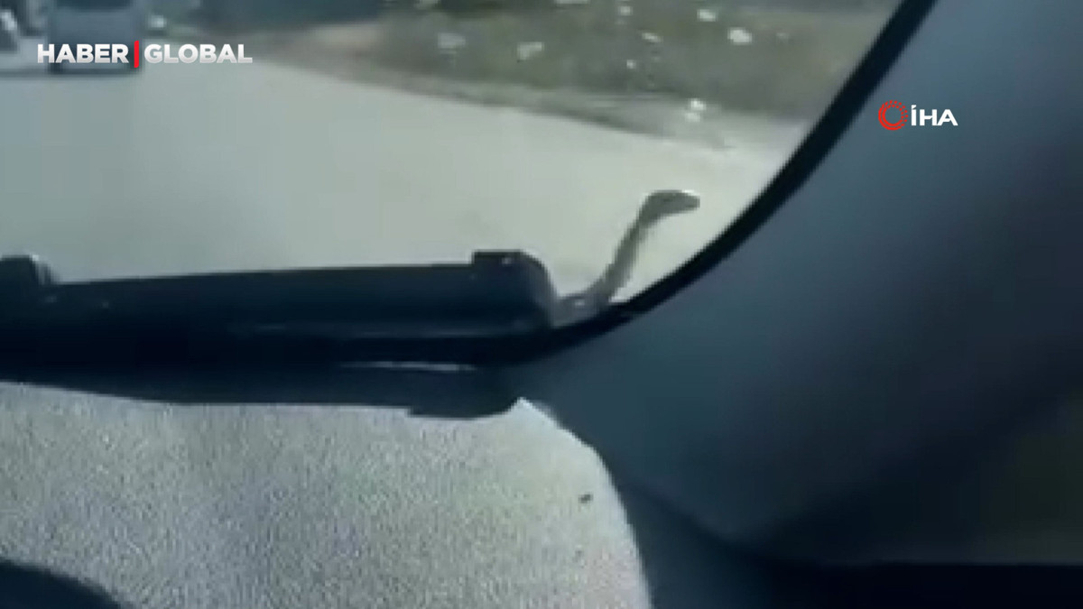 Seyir halindeki aracın kaputunda yılan paniği