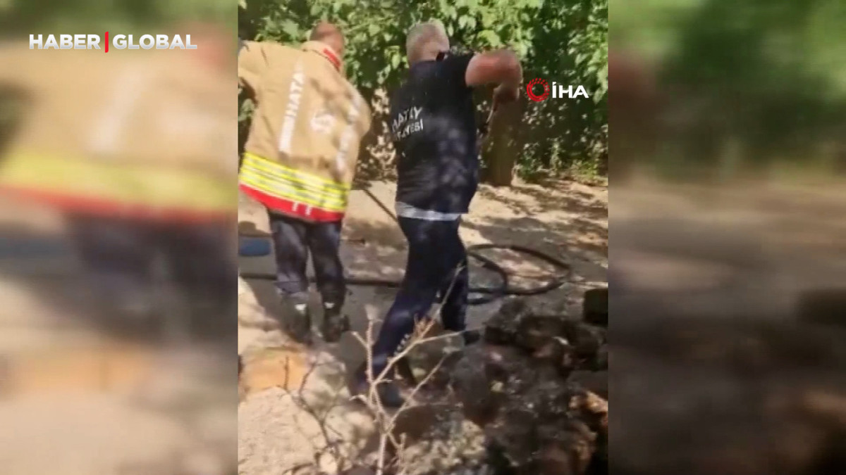 Hatay'da yılan paniği: İki kişi güçlükle zapt etti