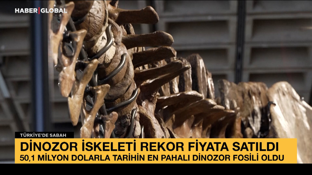 67 milyon yıllık dev iskelete rekor fiyat