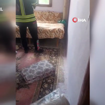 Yatak ve halıların arasına saklanan yılanın boyu şaşırttı