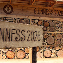 Adana'da hayata geçirilen 'arı oteli' dünyanın en büyüğü; Guinness tescil etti
