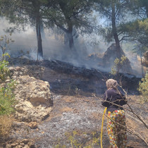 Kahramanmaraş’ta orman yangını