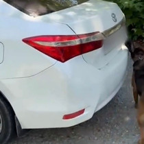 Otomobilde 5 kilo 670 gram skunk ele geçirildi: 1 tutuklama