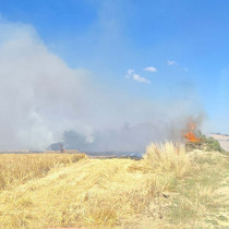 Çanakkale'de orman yangını