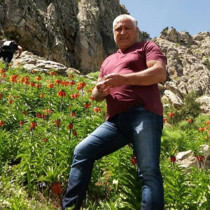 Mantar toplamak için dağa çıkan kişi ölü bulundu