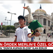 FIFA’dan ördek Merlin’e özel görev