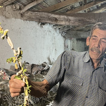 40 günde 216 bin TL kazandıran iş: 60 yıldır evinin altında üretiyor!