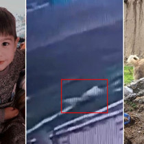 5 yaşındaki Hamza'nın hayatını kaybettiği köpek saldırısında belediye başkanına soruşturma izni