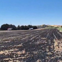 Silivri'de elektrik direği kesimi sırasında yangın: Ekili araziler zarar gördü