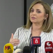 DEM Parti'li Doğan: Çerçeve yasayla ilgili mutabakat sağlandı