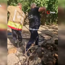 Hatay'da yılan paniği: İki kişi güçlükle zapt etti