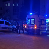 Sahte plakalı araçla kaçarken bekçiye çarptı