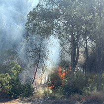 İzmir'in 2 ilçesindeki orman yangınlarına ilişkin 2 gözaltı