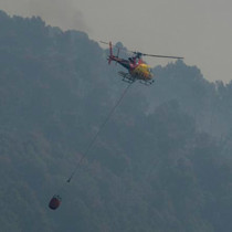İspanya'da orman yangını: 11 ölü