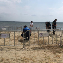 Tekirdağ'da görüldü, koruma altına alındı! Koparmanın cezası 699 bin lira