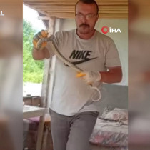 Eve giren yılanı yakalayıp boynuna sardı