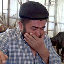 9 buzağı kömür üretim tesisinden yayılan dumandan öldü