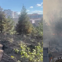 Ankara'da ODTÜ Ormanı'nda yangın