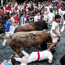 İspanya'daki boğa koşularının 8 günlük bilançosu: 70'ten fazla yaralı