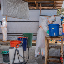 Kongo Demokratik Cumhuriyeti'nde Ebola salgını; vaka sayısı 2 bini aştı