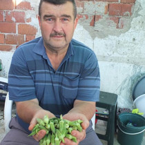 O üründe fiyatlar tavan yaptı; üreticinin yüzü güldü! "Sayesinde cebimiz para gördü"