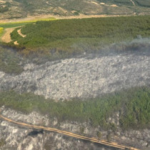 Tekirdağ'da orman yangını
