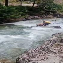 Uzungöl'de feci ölüm: Suudi turist, fotoğraf çekilmek istediği derede boğuldu