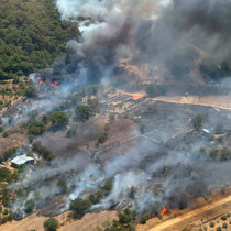 Afyonkarahisar, Muğla ve Antalya'da orman yangını