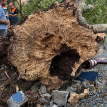 İstanbul’da kısa süreli etkili olan fırtına hasara yol açtı