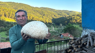 5 kilo ağırlığında; görenler şaşkına döndü!