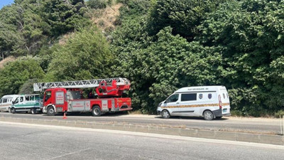 Koku sebebiyle yapılan kontrolde bulundu; incir ağacında korkunç manzara