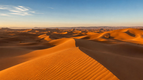 Sahara Çölü’nde 50 kişi susuzluktan öldü