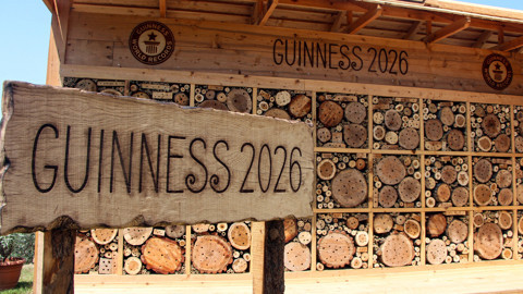 Adana'da hayata geçirilen 'arı oteli' dünyanın en büyüğü; Guinness tescil etti