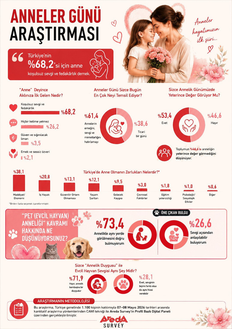Türkiye’de “Pet Anneliği” tartışması: Toplumun yüzde 73,4’ü aynı yerde görmüyor - Resim : 2