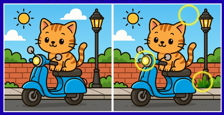 Sahibinin motoruna oturan iki kedi arasındaki 3 farkı sadece yüksek IQ'su olanlar 12 saniye dolmadan buluyor - Resim : 5