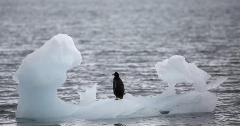 Arktik'te korutan erime! Türkiye sular altında kalır mı? - Resim : 2