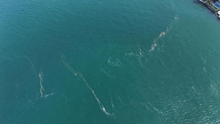 Boğaz’da alarm! Deniz yüzeyinde korkutan görüntü - Resim : 1