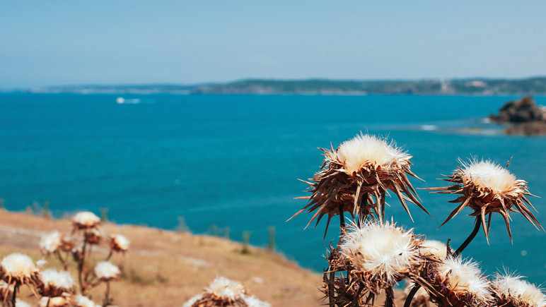 Küresel alarm verildi! Mayıs-Temmuz sıcaklık şoku - Resim : 2