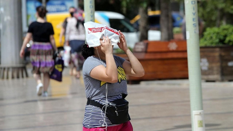 Rekor sıcaklık riski büyüyor, El Nino Türkiye’yi nasıl etkiler? - Resim : 1
