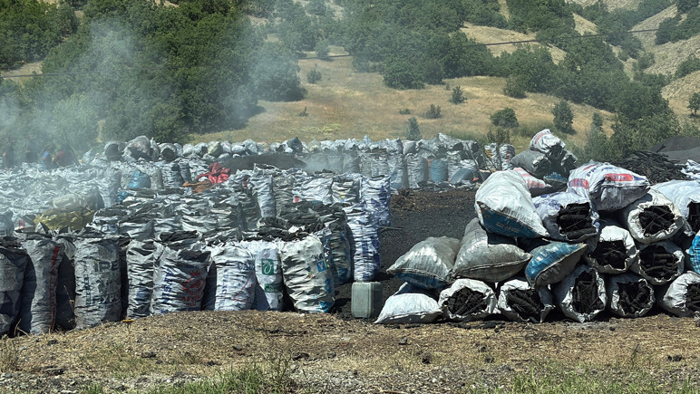 9 buzağı mangal kömürü üretim tesisinden yayılan dumandan öldü - Resim : 3