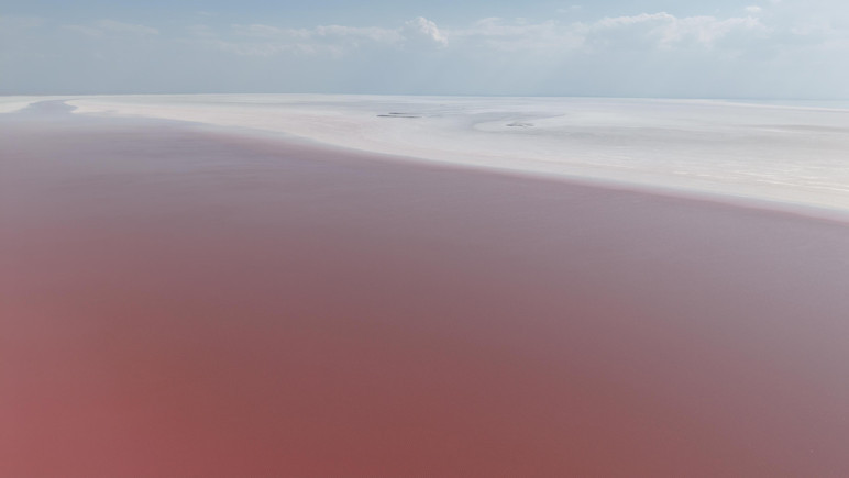 Tuz Gölü, pembe rengini aldı - Resim : 1