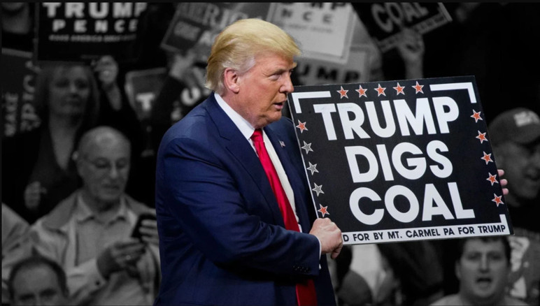 Trump döneminin özeti! Aklın yıkımı ve ekofaşizm - Resim : 1