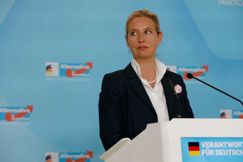 Merz'in koltuğu sallanıyor, tıkanan reformlar, ırkçı AfD tehdidi - Resim : 2